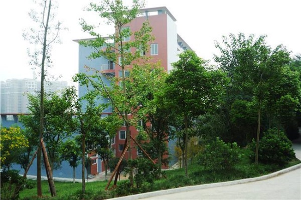 重慶江北有哪些學校(重慶江北附近的學校)  第4張