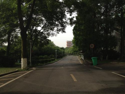 四川中專護理專業考證分數查詢,四川中專護理專業考證合格標準  第2張