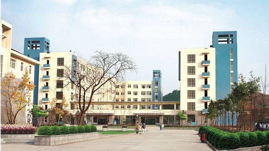 重慶中專畢業生服務中心(重慶大學畢業生去向)  第3張