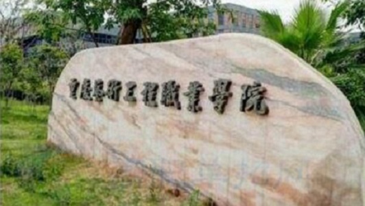 重慶市函授中專(重慶市行業場所治安管理信息系統)  第4張