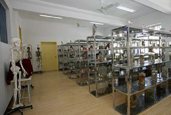 重慶技工學校老師(重慶技工職業技術學校)  第4張