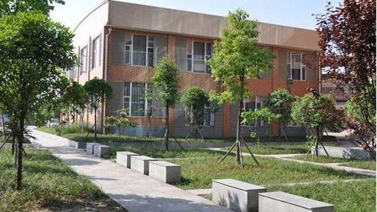 重慶學校大渡口官網(重慶學校大全)圖3