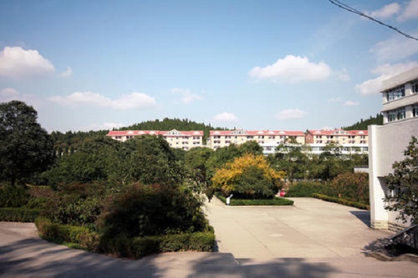 中專生重慶醫科大學(重慶醫科大學是幾本)圖2