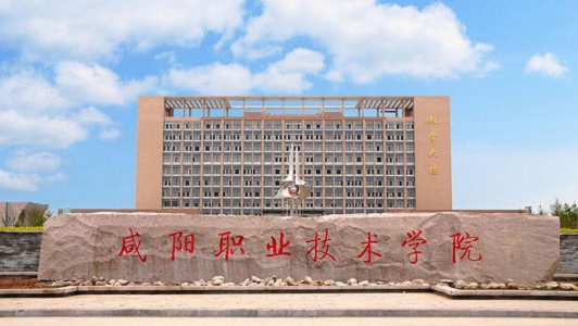 內江電子信息專業中專招生簡章,內江電子信息專業中專就業前景分析圖1