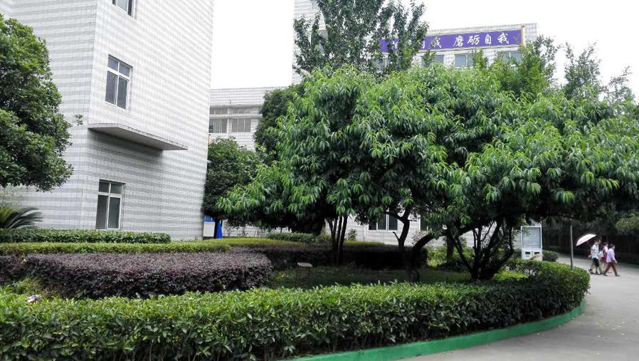廣元利州中專職業學校地址在哪里？廣元利州中專職業學校怎么樣？  第1張