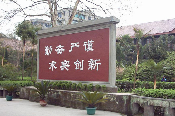 四川有編程類的中專學校嗎如何選擇？  第3張