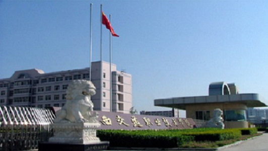 重慶頂尖藝術培訓學校(瀏陽藝術培訓機構)  第4張