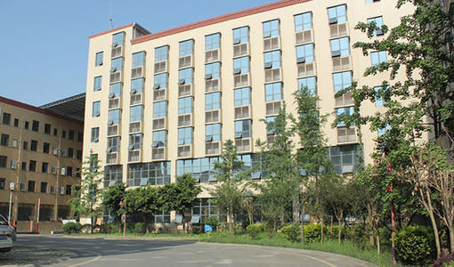 重慶有哪些藝術培訓學校(重慶有哪些藝術類大學)  第1張