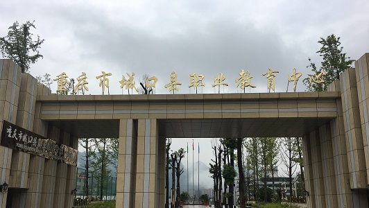重慶中專畢業生就業指導服務中心(重慶學歷認證中心在哪)  第4張