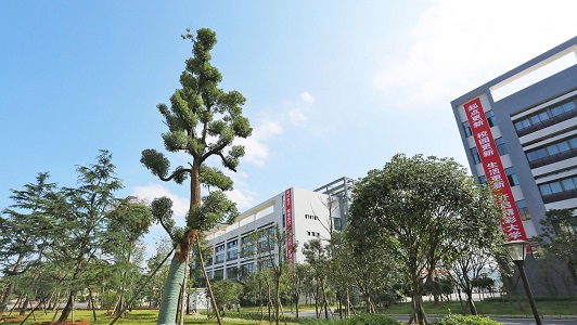 重慶渝中學校怎么樣(重慶渝中職高)  第4張