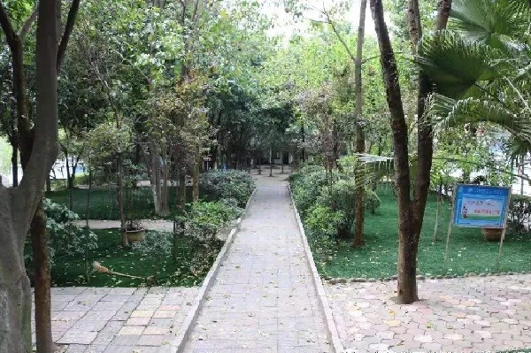 重慶藝才技工學校在哪里(重慶藝才技工學校)  第2張
