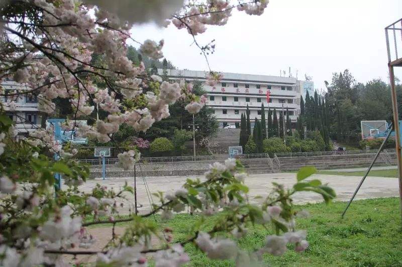 重慶中專升級大專(重慶中專學校排名前十)  第4張