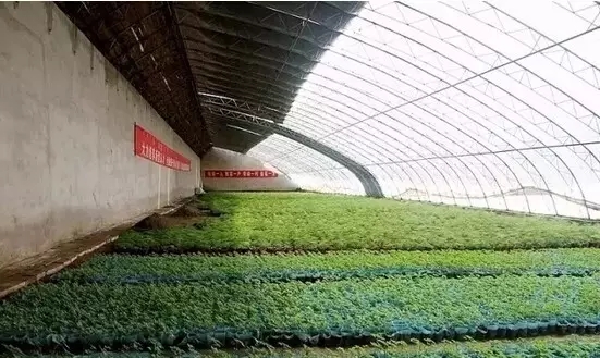 重慶公辦職高前十名多少錢(重慶市最好的職高)  第3張