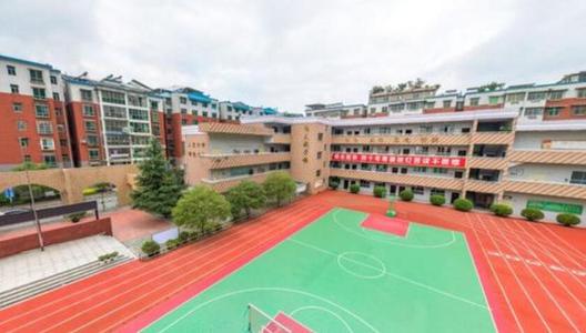 重慶巴渝學校官網(重慶市巴南區巴渝小學校官網)  第1張