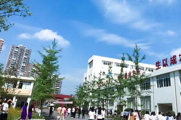 德陽中職中專學校對口升學政策解析,德陽中職學校升學指南  第3張