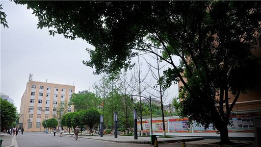關于重慶巴南區魚洞中專學校的信息  第1張