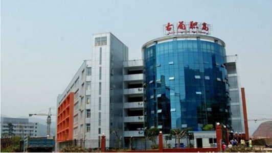四川宣漢職業中專學校王成的教學經驗分享,王成的教育理念與實踐  第2張