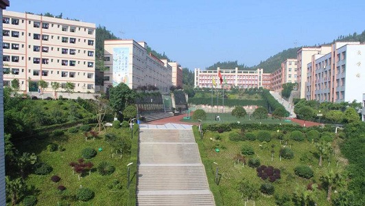 重慶私立中校(重慶育才成功學校)  第4張