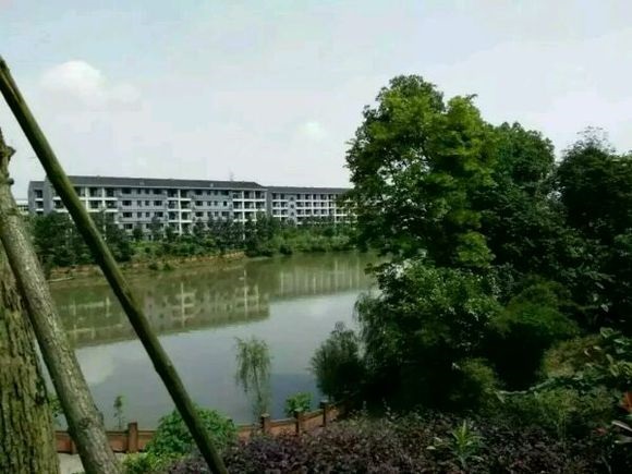 四川西航職業學院是中專還是大專？四川西航職業學院的學歷屬于哪個級別？  第4張