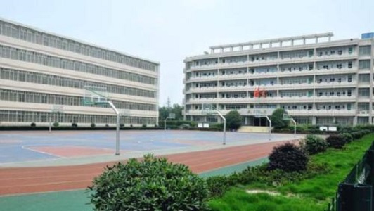 重慶市貴族私立學校(重慶樹人小學是貴族學校嗎)  第2張
