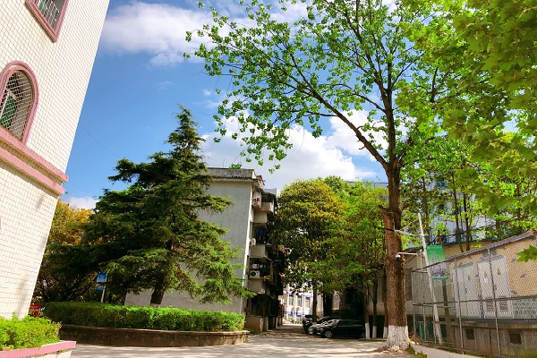 廣安市鄰水縣英才中專如何報名  第1張