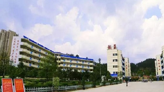 重慶工商學校白沙(重慶工商學校楊宗武)  第1張