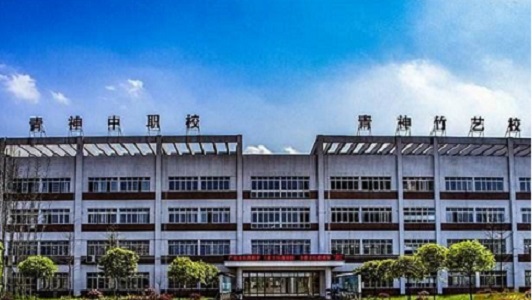 成都幼師免費中專學校（免費幼師中專的招生政策及條件）  第3張