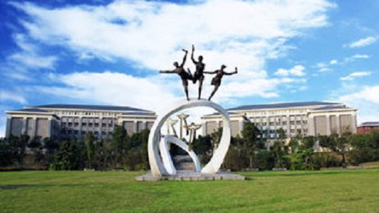 重慶學校排名前十有哪些學校(重慶大學排名前10)  第1張