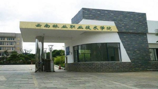 重慶市商務學校是中專還是大專(重慶中專衛校有哪些)  第3張