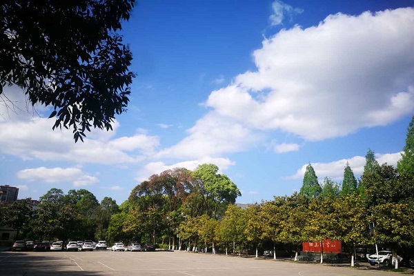 重慶育才成功學校好嗎(巴南是不是重慶最差的)  第3張