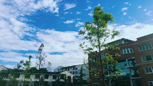 成都市的公立中專學校有哪些？  第3張