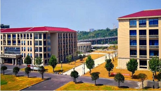 重慶中專技校招聘教師招聘(2020巴南教師招聘人數)  第2張