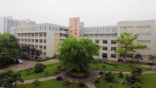 重慶有哪些藝術學校(重慶藝考文化培訓機構哪家好)  第3張