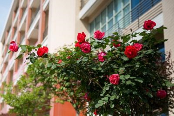 重慶職高學費多少(職高學費一年多少錢)  第3張