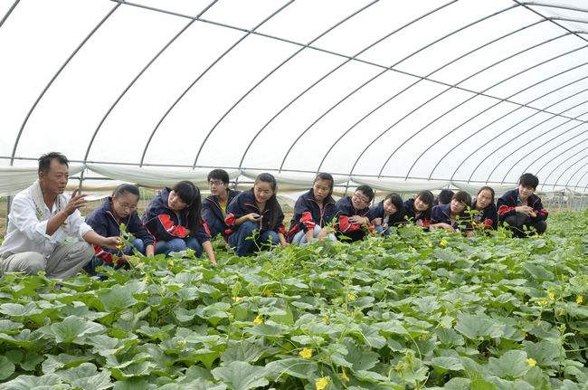重慶沙坪壩中專職業學校(重慶沙坪壩中梁鎮斐然湖)  第4張
