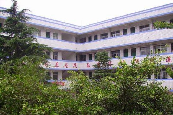 四川中專高考歷年真題下載，中專高考歷年真題及答案解析圖2