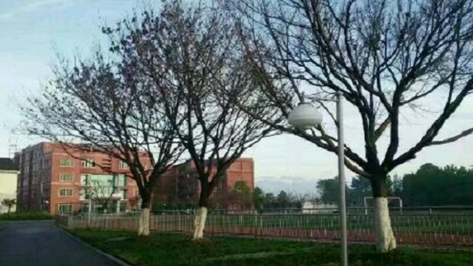 重慶幼兒師范學校貼吧(重慶師范大學群)  第3張