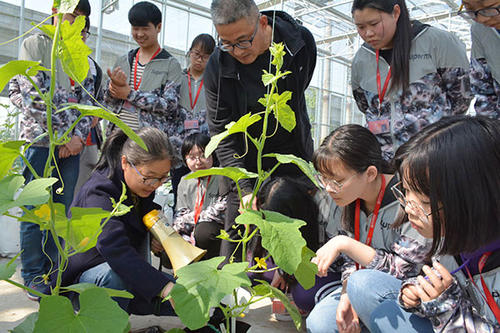 成都市青蘇職業中專曾校長是誰  第1張