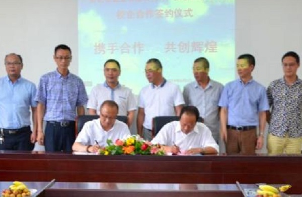 重慶醫科大學護理學院分數線中專(重慶醫科大學2019分數線)  第3張